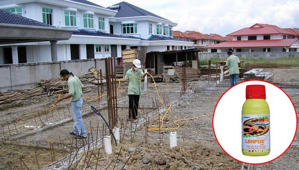 Phòng chống mối công trình Phòng chống mối công trình